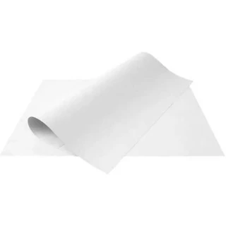 Cartolina Escolar 120g 46 x 65 cm