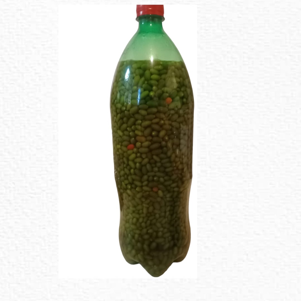PIMENTA CUMARI PASSARINHO VERDADEIRA EM CONSERVA 2 LITROS