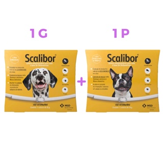 Combo 2 Coleira Scalibor P e G Leishmaniose Antipulgas MSD Cães Cachorros