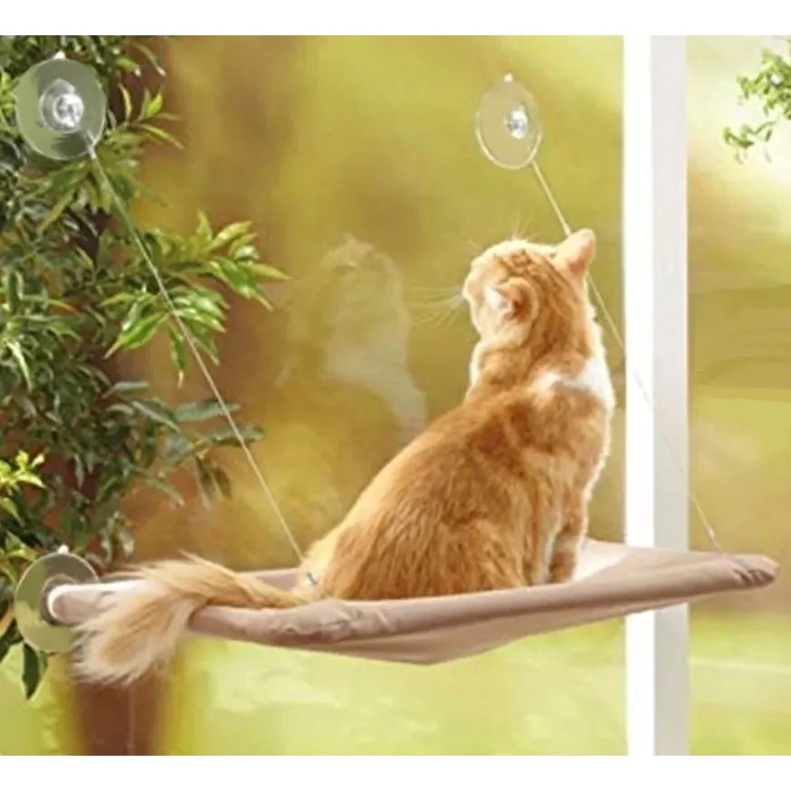 Caminha Cama De Janela Suspensa Para Gatos Com Ventosas Rede
