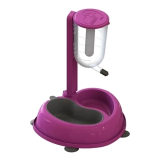 Bebedouro Automático Bilha Com Comedouro Anti Formiga Duplo Promoção Envio Imediato