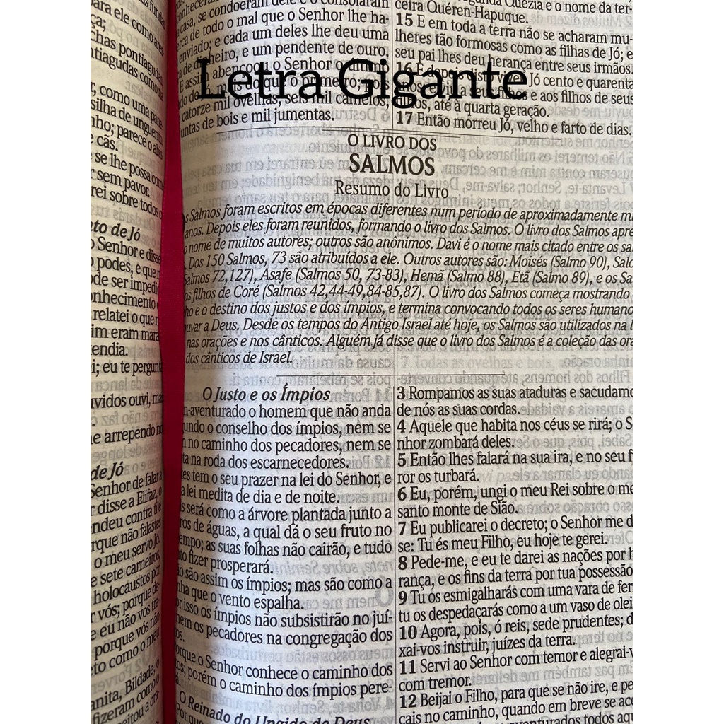 Biblia sagrada hiper letra gigante com harpa | Shopee Brasil