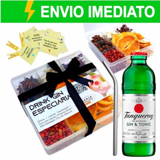 Kit Gin Tônica Especiarias + Tanqueray e Acessórios