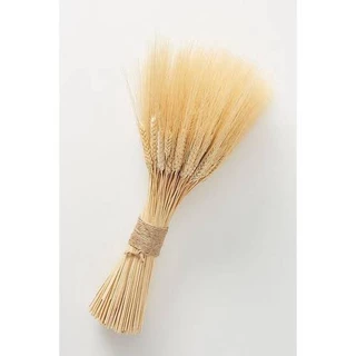 150 Hastes Trigo Seco Para Decoração Convites Arranjos