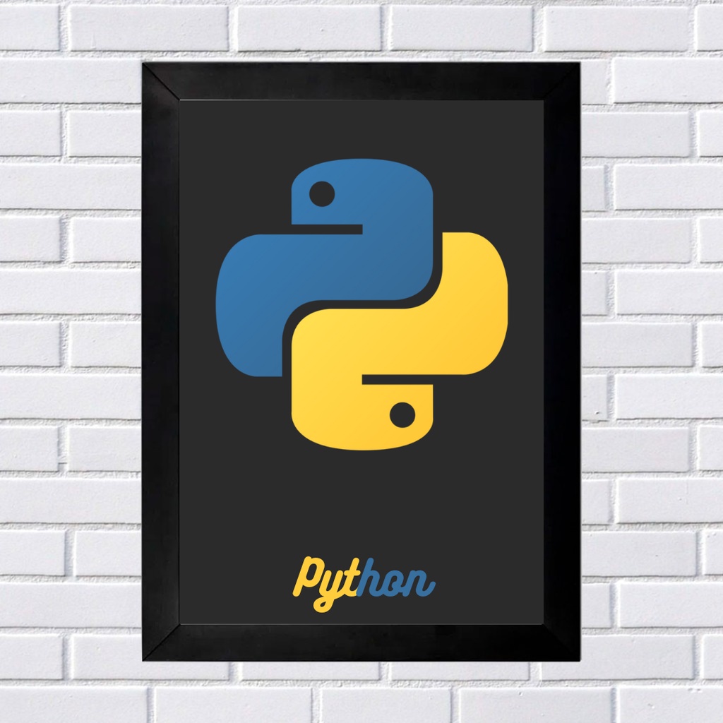 Quadros Liguagem de Programação Python - Moldura e Acetato | Shopee Brasil