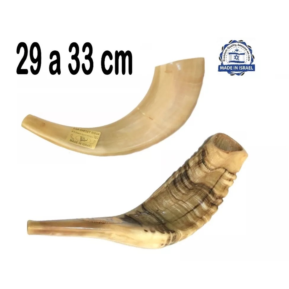 Shofar Chifre De Carneiro De Tocar - 29 A 33 Cm - De Israel