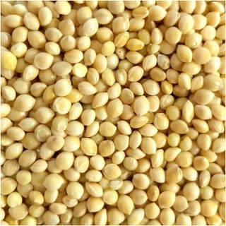 Painço Branco Importado 500gr 