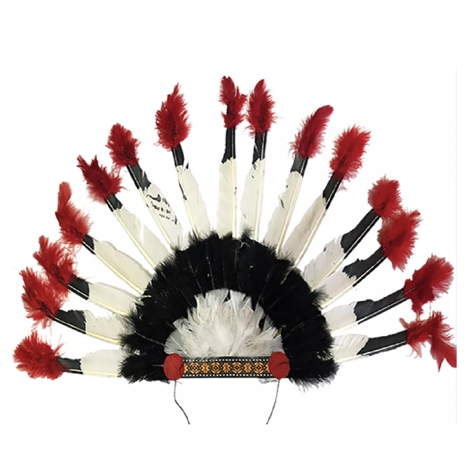 Coroa Cocar De Índio Penas Fantasia Carnaval Festa | Shopee Brasil