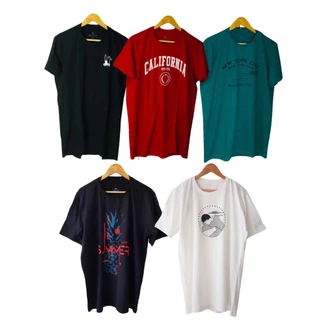 Camiseta Camisa P ao GG e Plu Size G1 ao G6 Masculinas