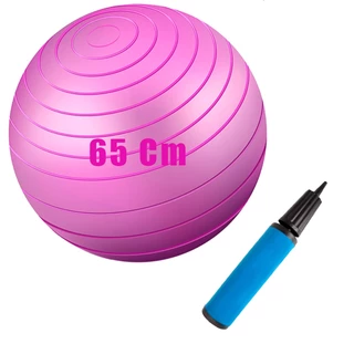 Bola De Pilates Suíça 65 Cm Com Bomba Ginastica Yoga