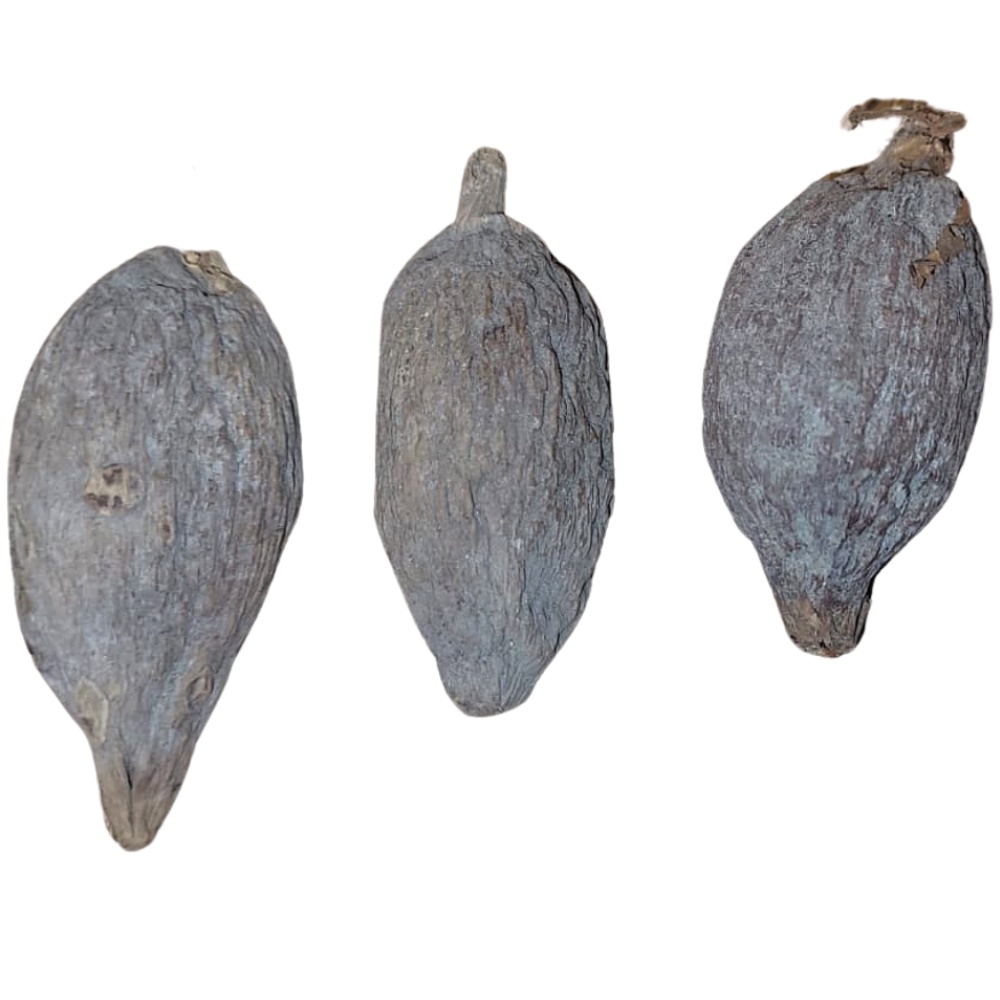 Fava de Atare - Pimenta Africano | Shopee Brasil