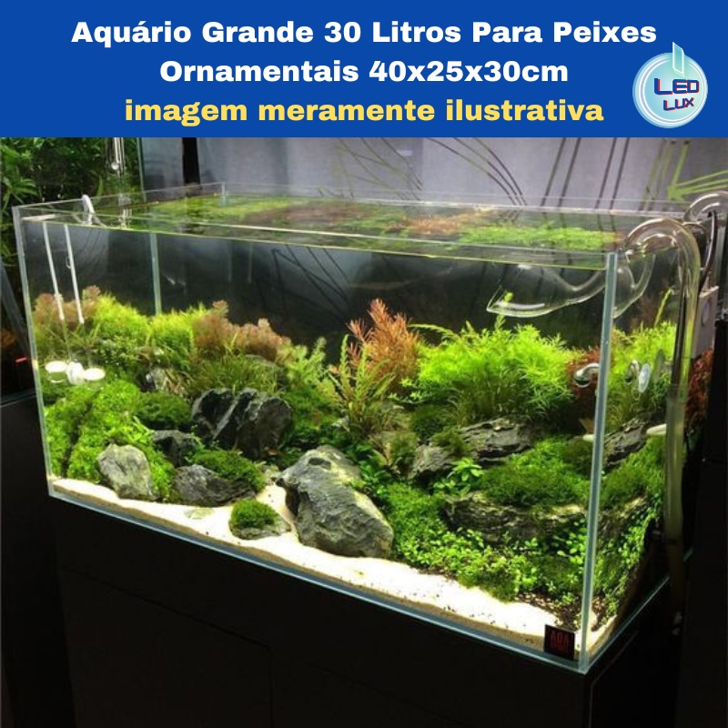 Aquário Grande 30 Litros Para Peixes Ornamentais 40x25x30cm