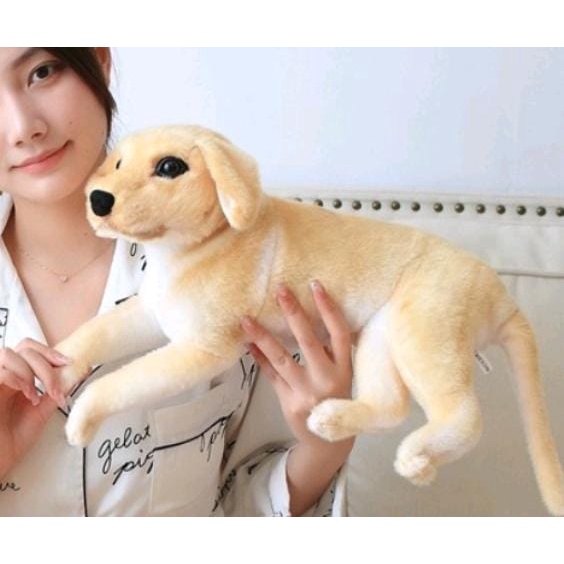 Golden Retriever 40cm Cachorro Pelúcia Realista Filhote Lindo | Shopee ...