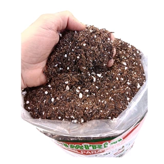 Substrato Misto Com Turfa Perlita E Casca De Arroz 20 Litros