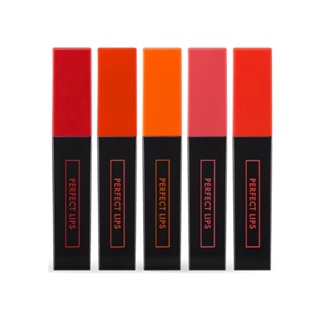 [TONYMOLY] NEW Perfect Lips Shocking Lip 4g