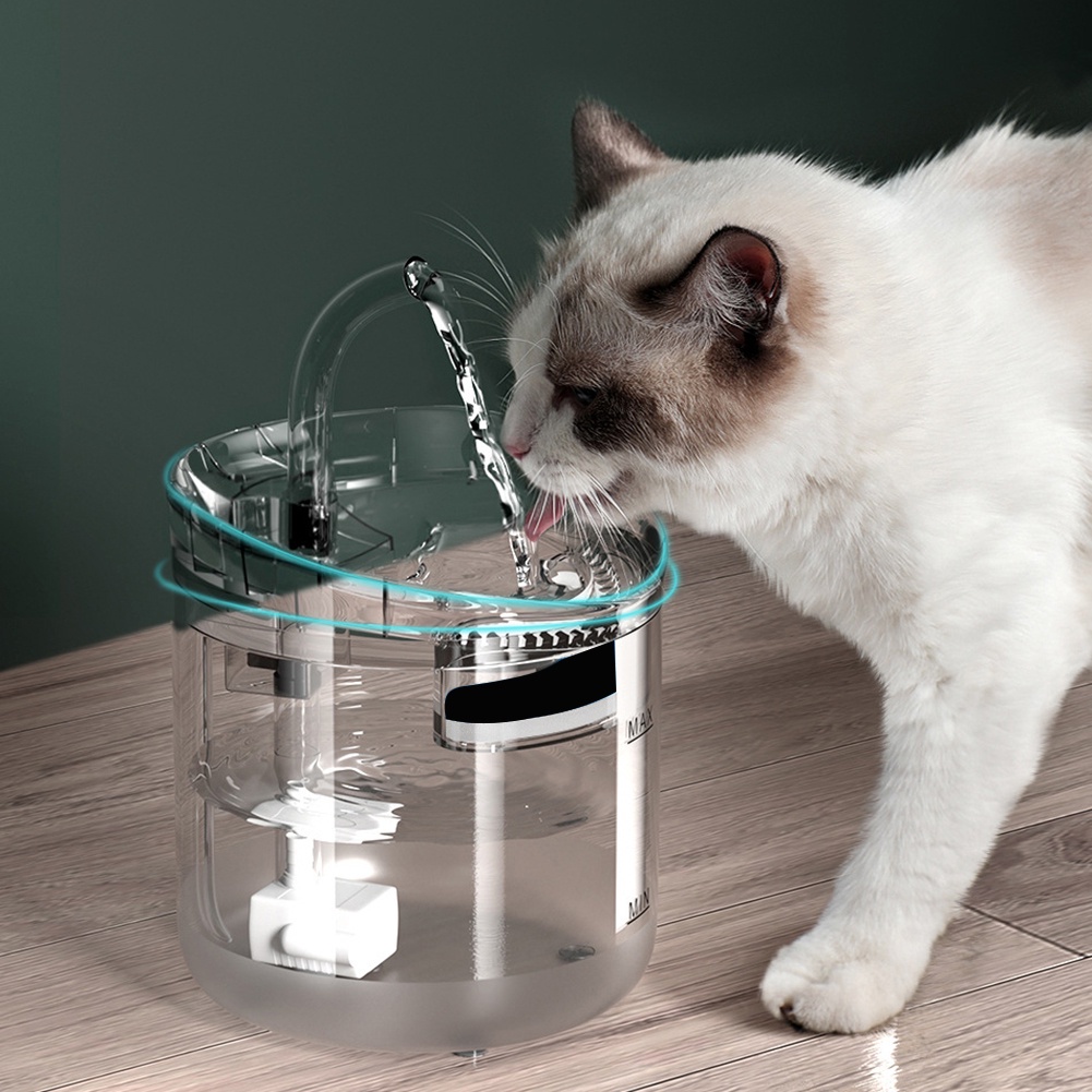 Kit Comedouro para Gatos e Abacate com Catnip + Brinde - Pet