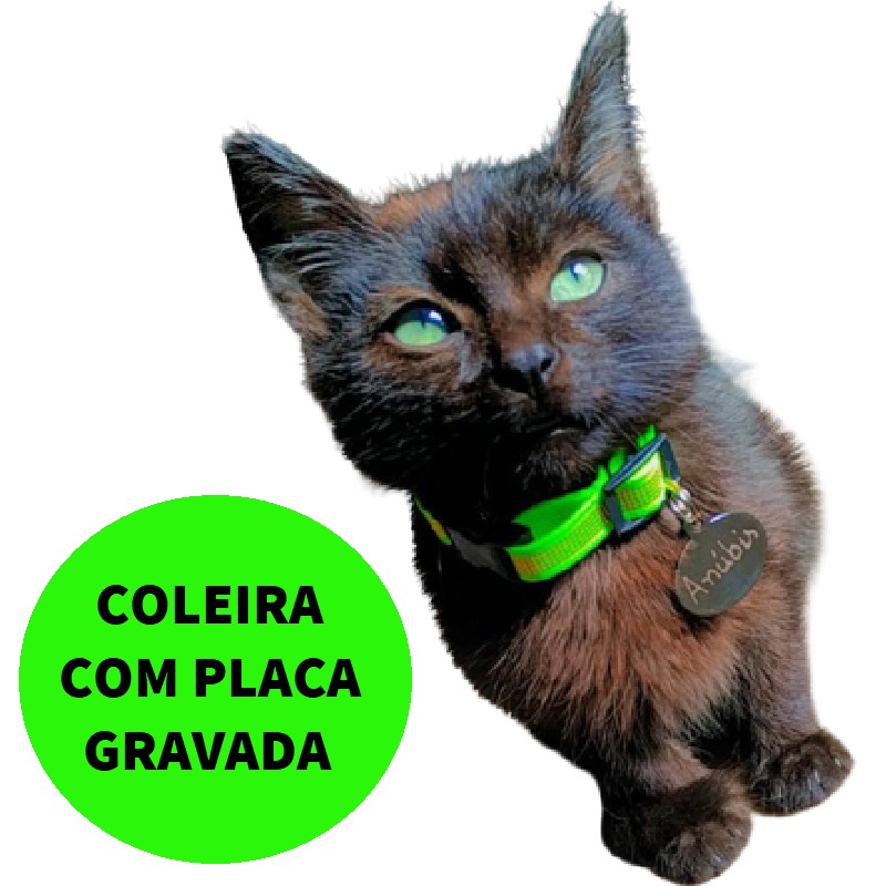 COLEIRA ANTI ENFORCAMENTO MEUMIAU - DONUTS - Coleira, Peitoral, Guias para  cachorro e gato e Personalizado.