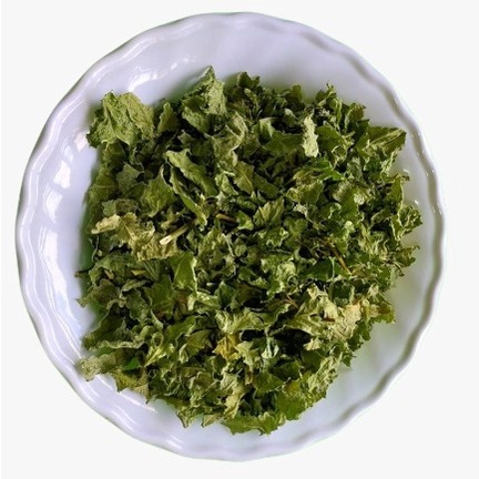 Guiné - Erva Seca - Popularmente conhecida como Rabo-de-gambá e Amansa senhor.