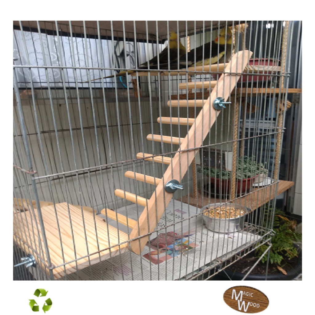 Escada 50 cm, poleiro pássaros e aves de gaiolas, Calopsitas, Agapornis- Roselas- Jandaias- Marianinha- Lóris- Papagaios- Ring necksh