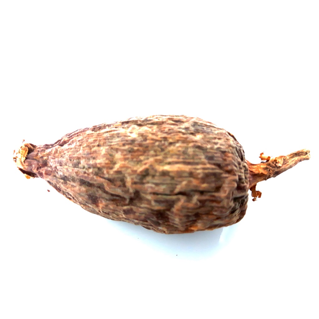 Fava de Atare Pimenta da Costa Legítima Ritual Exu Pomba gira Umbanda ...