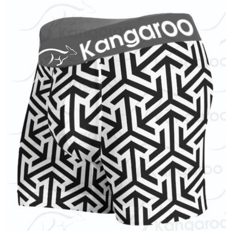 Kit 10 Cuecas Boxer Box Microfibra Adulto Masculino Moda