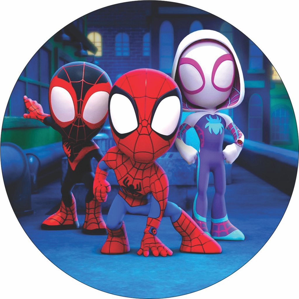 Painel em lona Spider-Man e seus amigos homem aranha 1,00x1,00 | Shopee ...