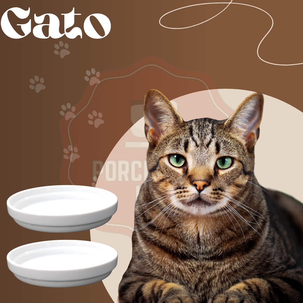 Tigela Para Gato Porcelana Branca Redonda 350 ML Segunda Linha