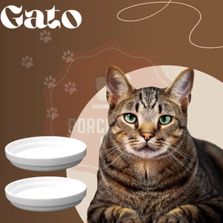Tigela Para Gato Porcelana Branca Redonda 350 ML Segunda Linha