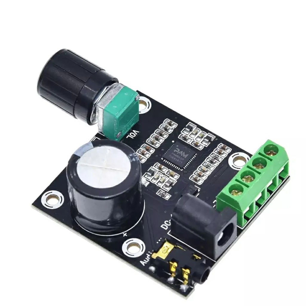 Amplificador de Áudio Pam8610 Com Regulador de Volume