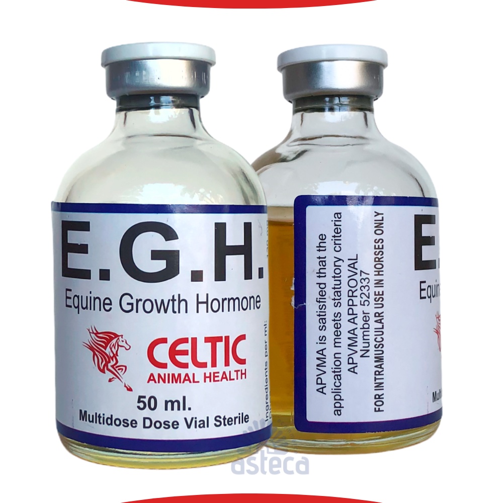 GH Celtic Suplemento Ganho de Massa Muscular Para Equinos 50 ml