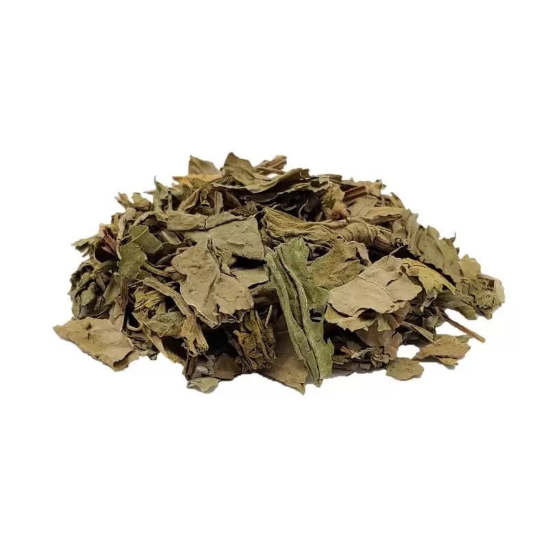 Canela De Velho Premium Chá