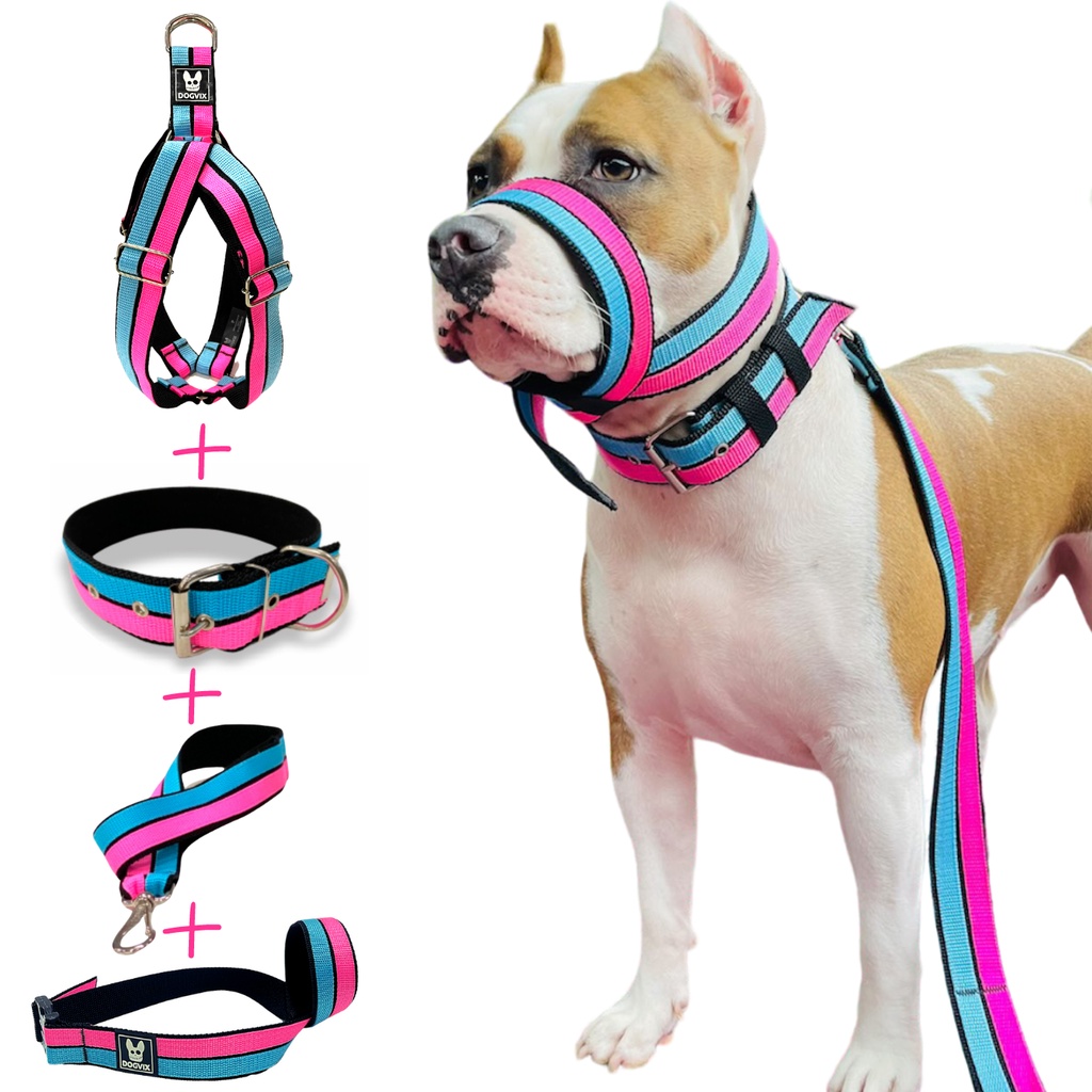 Kit Completo Peitoral Coleira Guia e Focinheira Para Cachorro Pitbull Golden Retriever Pastor Alemão Rottweiler