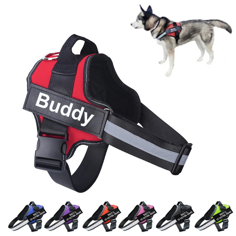Arreios Para Animais De Estimação Personalizados Cães Colete Refletivo Respirável Ajustável Pequenos E Grandes Sem Acessórios De Treinamento PULL