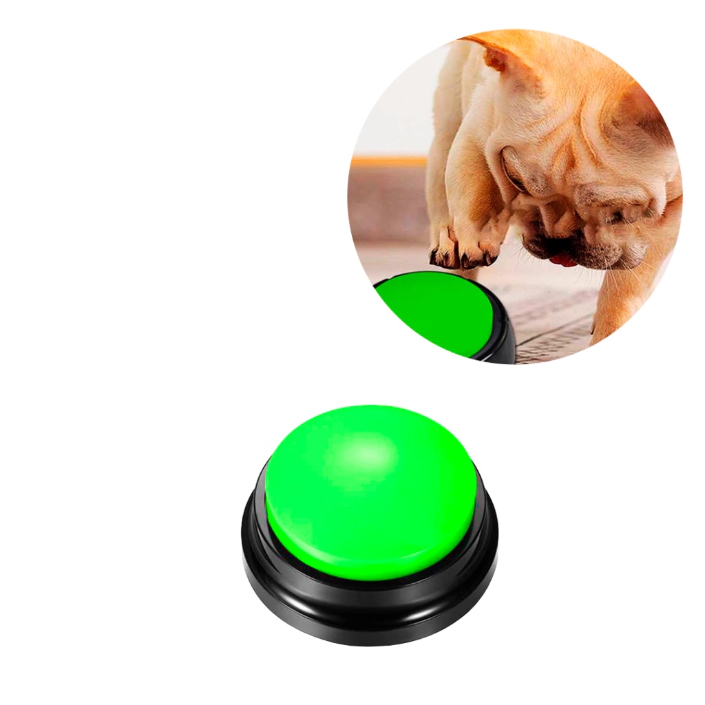 Botão Gravador Treinamento Caixa de Som Comando de Voz Adestramento Brinquedo Pet - 1un