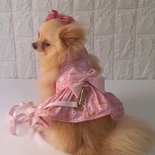 Roupa Roupinha Pet Para Cachorro Vestido Barbie Com Guia