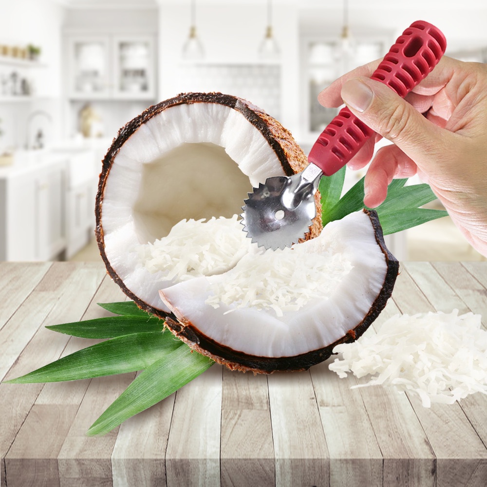 Ralador de Coco Seco Raspador Manual de Inox com Cabo Plástico Ideal ...