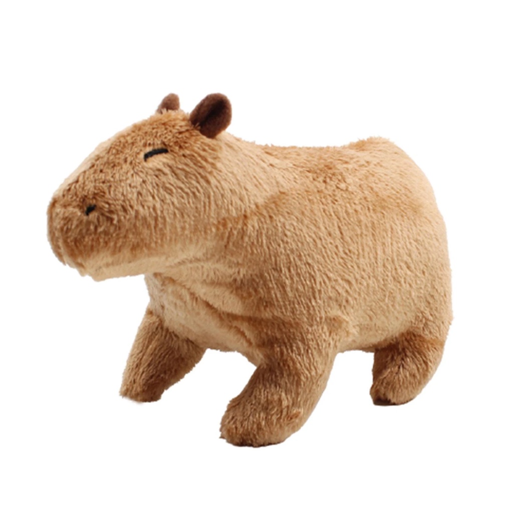 5 Pcs Brinquedo de pelúcia capivara, Animal de pelúcia capivara realista,Bonecas  de pelúcia de desenho animado, capivara de pelúcia de desenho animado,  decoração de carro para casa Jiaben