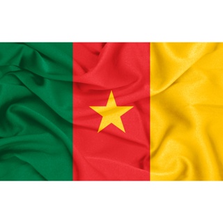 Bandeira Oficial Senegal Flag 150x90 Cm Manifestação Eventos