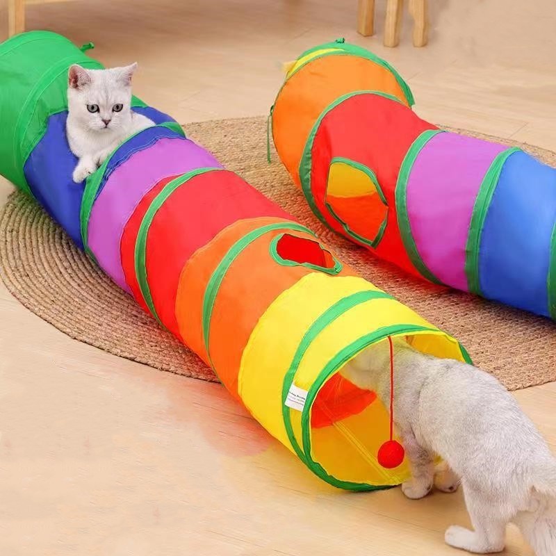 Brinquedo para mastigar gato, Brinquedo para mastigar gato colorido dos desenhos  animados, Brinquedos de dentição para gatos de tecido de pelúcia,  brinquedos interativos de movimento para Nanyaciv