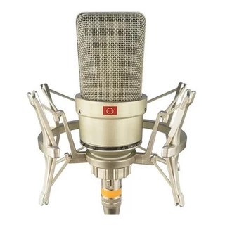 Skerei Tlm 103 Microfone Condensador Estúdio Diafrag 34mm