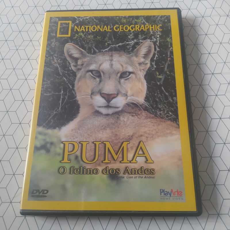 Puma - O felino brasileiro