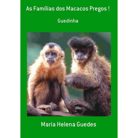 Rede Pet Grande Macaco Prego Sagui Gato Ferret Furao