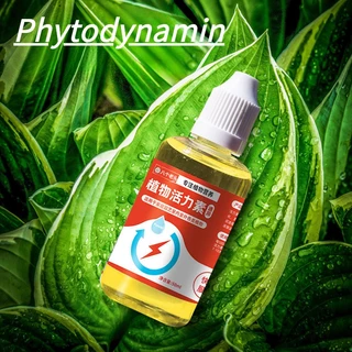 Plant Vigor Growth Enhancer Suplemento Estimulador De Raiz Hormônio De Enraizamento Para Transplante