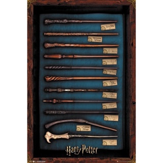 Placa Mdf Imagem Feitiços Harry Potter 22x32 Cm