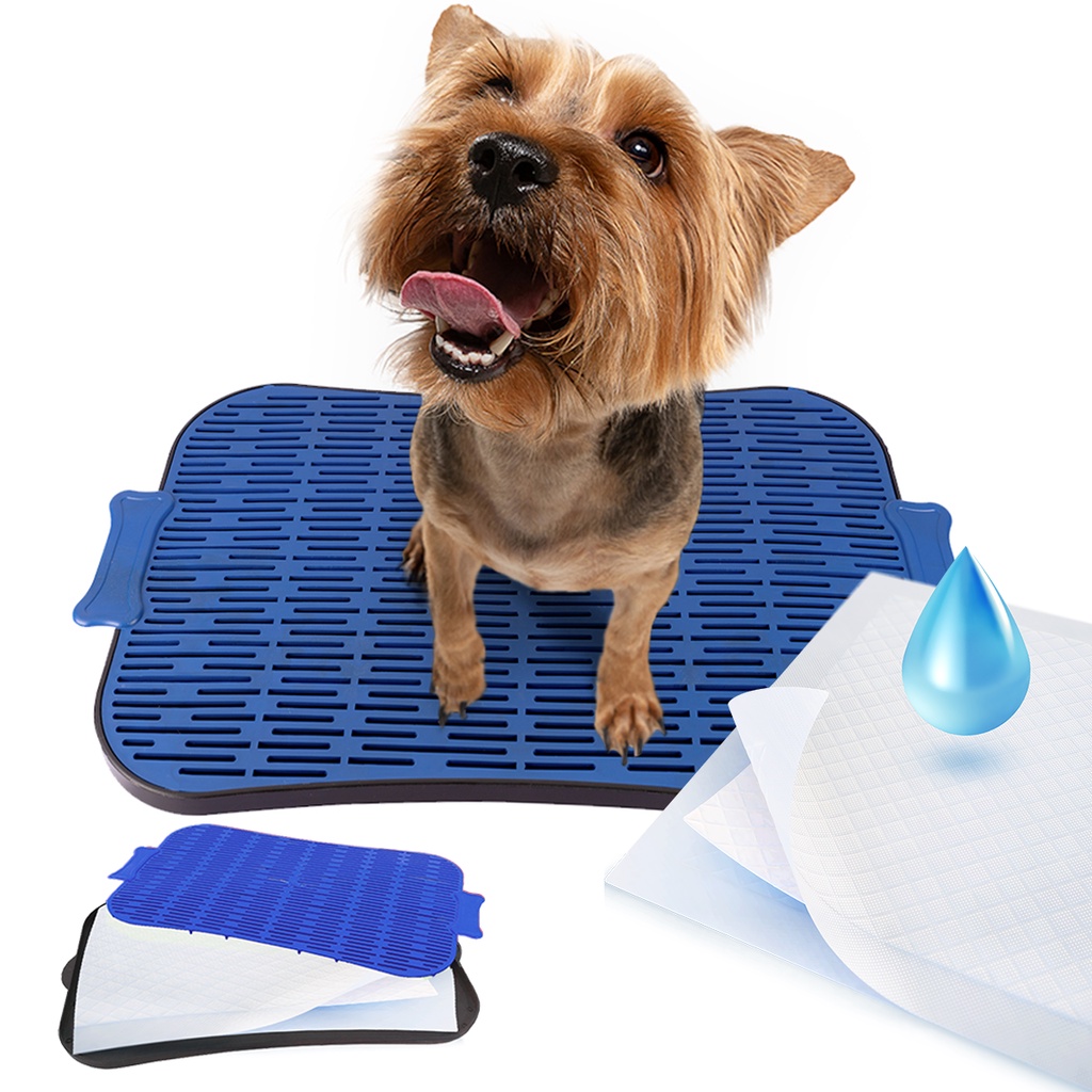 Sanitário Canino Xixi Dog Banheiro Pet Tapete Higiênico Cães
