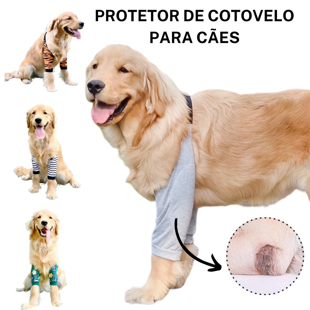 Cotoveleira Protetora Para Cães Pet - Higroma, Calos, Escara de Decúbito