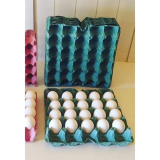 Bandeja/cartela para 20 ovos de galinha com 50 unidades ( CONSULTAR DISPONIBILIDADES DE COR )