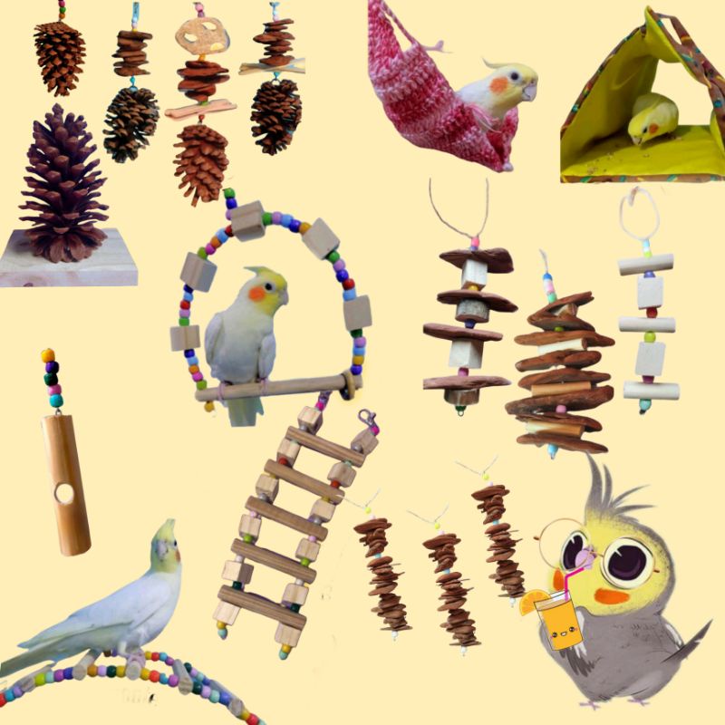 Kits Promoção - Brinquedo para pássaros, Calopsita