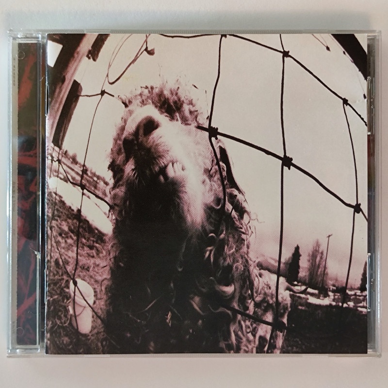 Pearl Jam - Vs. | Shopee Brasil