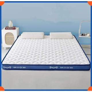 Pillow Top Casal Espuma Da Antialergica Viscoelástico Extra Conforto Maciez 5cm - Ltx Sleep